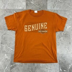 Harley Davidson Graphic Tee Mens Large Short Sleeve Shirt Pittsburgh Biker